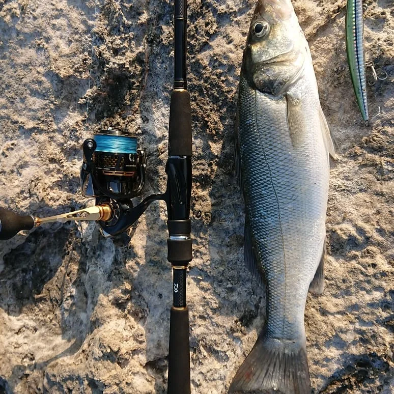 Hunthouse Tide Slim Minnow flyer175 floating fishing lure hard bait sea fishing 175mm 25g/34g  ABS plastic for seabass pike Hunthouse Tide Slim Minnow flyer175 floating fishing lure hard bait sea fishing 175mm 25g/34g  ABS plastic for seabass pike