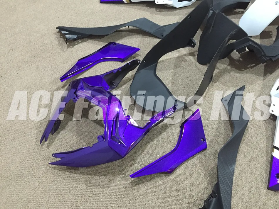 NINJA300 13-14 (675)
