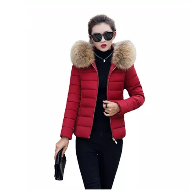 

2019The New Winter Cotton Short Coat For Women Big Artificial Fur Collar Warm Jacket Plus Size 4XL Female Over Coats