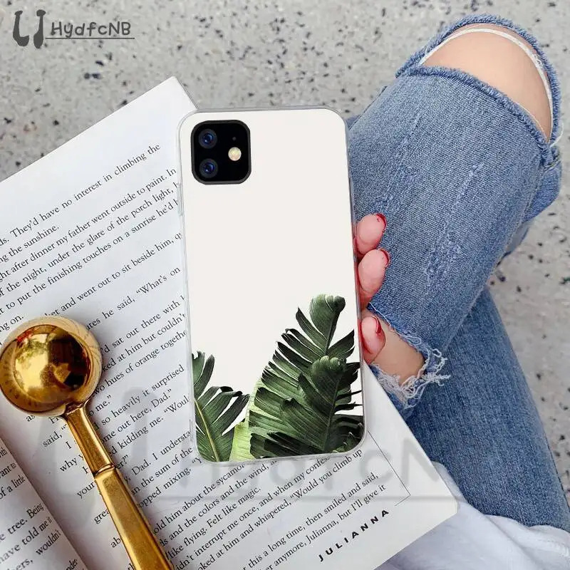 Banana Leaf