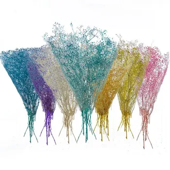 

New Color 1bundle Gypsophila 45-50CM DIY Wedding Party Photo Props Pure natural plant Dried Flowers Cafe Library Home decoration