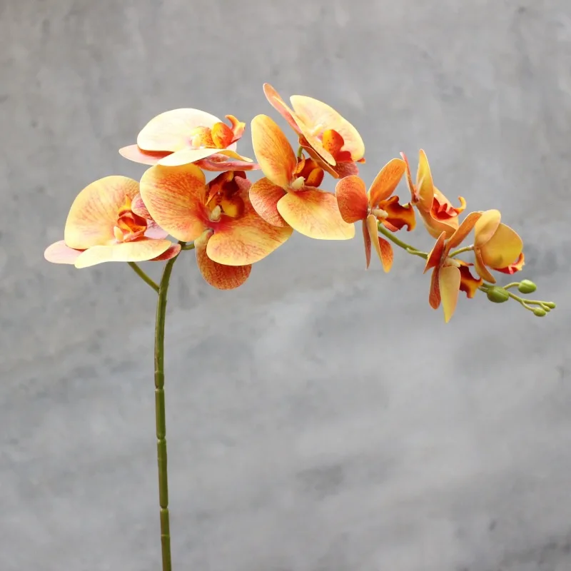 

Single Stem Handfeel Butterfly Orchid 3D Printing Imitation Flowers Silk Flower Decorative Flower Background Soft Loading Wholes