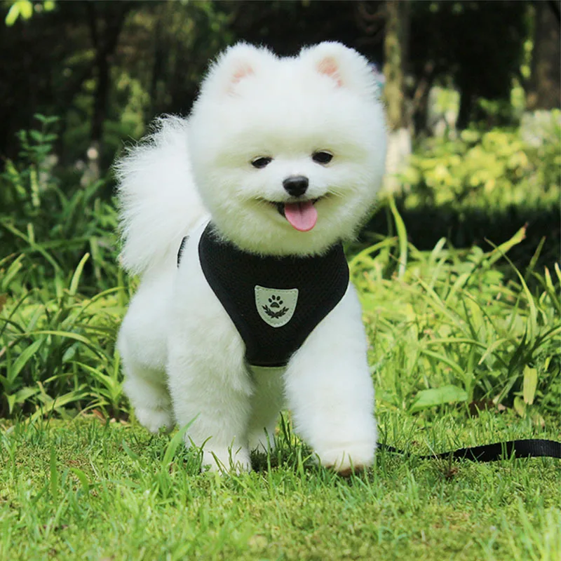 Dog Harness And Leash Set Mesh Pet Dog Accessories Puppy Dogs Cat Harness Vest Pet Supplies Chihuahua Yorkshire Terrier Pitbull pet harness leash set pet harness set pet leash set