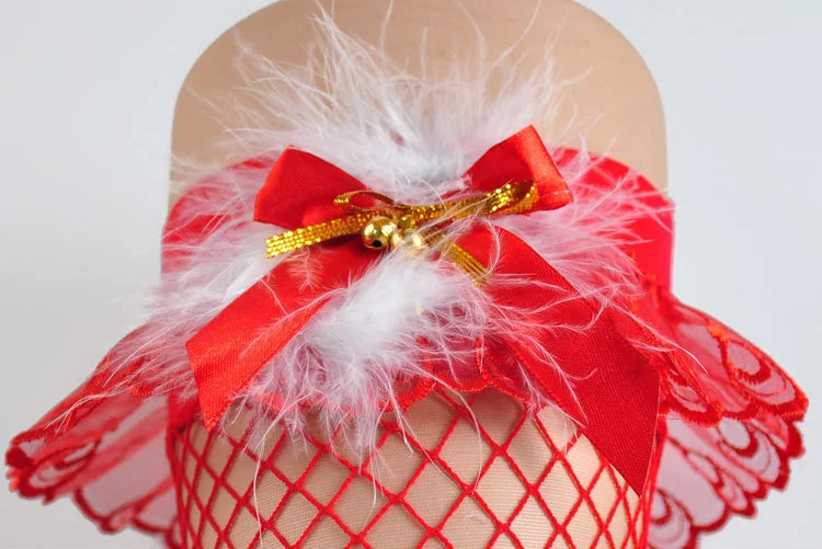 4209750586_1754461481