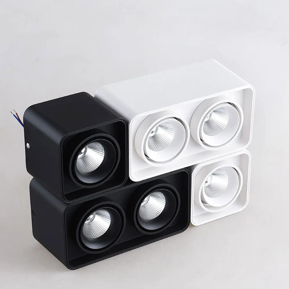 downlight (12)