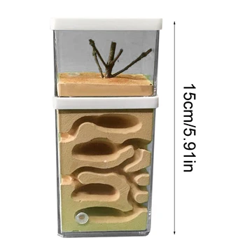 

Insect Observation Ant Hill Workshop Gypsum Nest Box Transparent Acrylic Insect R9JC