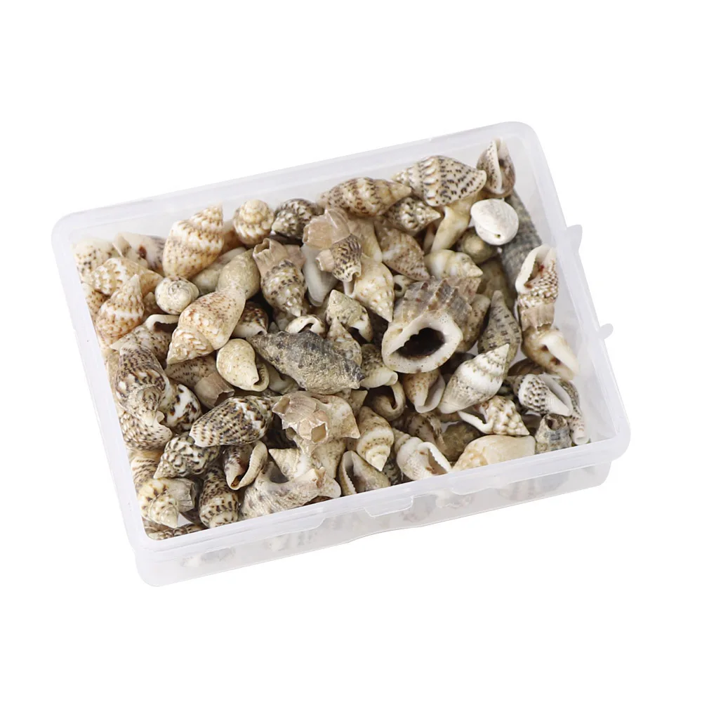 1 Box Pattern 4 Styles Nature Beach Fashion Sea Shells For DIY Caft Decor Jewelery Craft Accessories Holes Shell Decoration - Цвет: 3