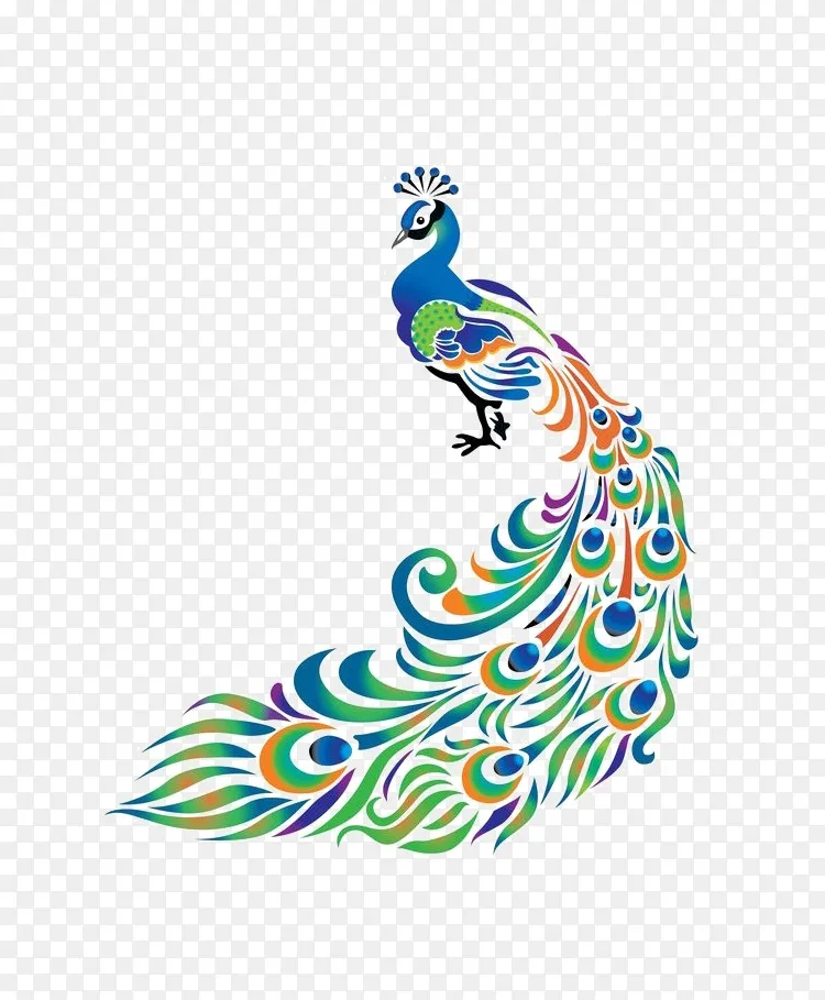孔雀剪贴画-孔雀