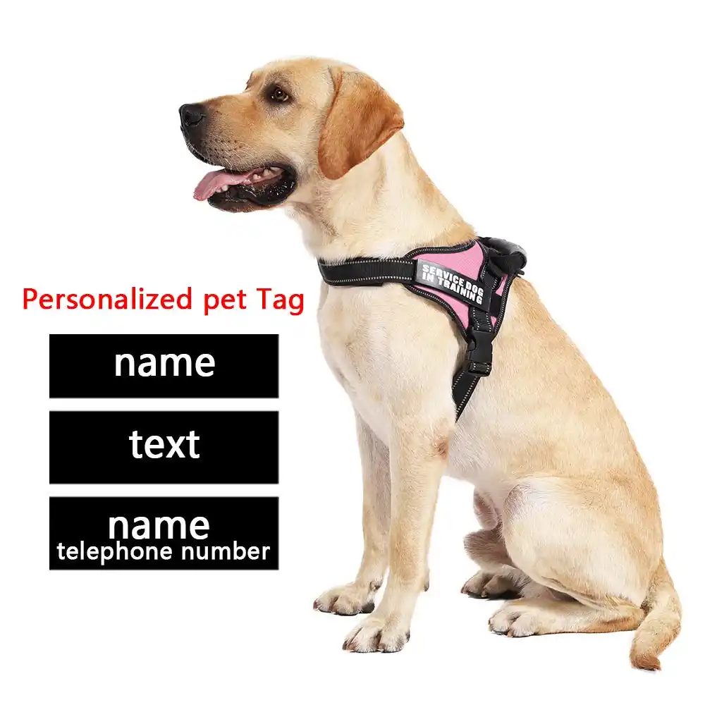 dog tag for harness