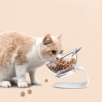

Transparent Cat Bowl With Raised Stand Pet Food Water Bowls Tilted Angled Anti-Slip Pet Feeder For Puppy Cats Dogs Pet Supplies