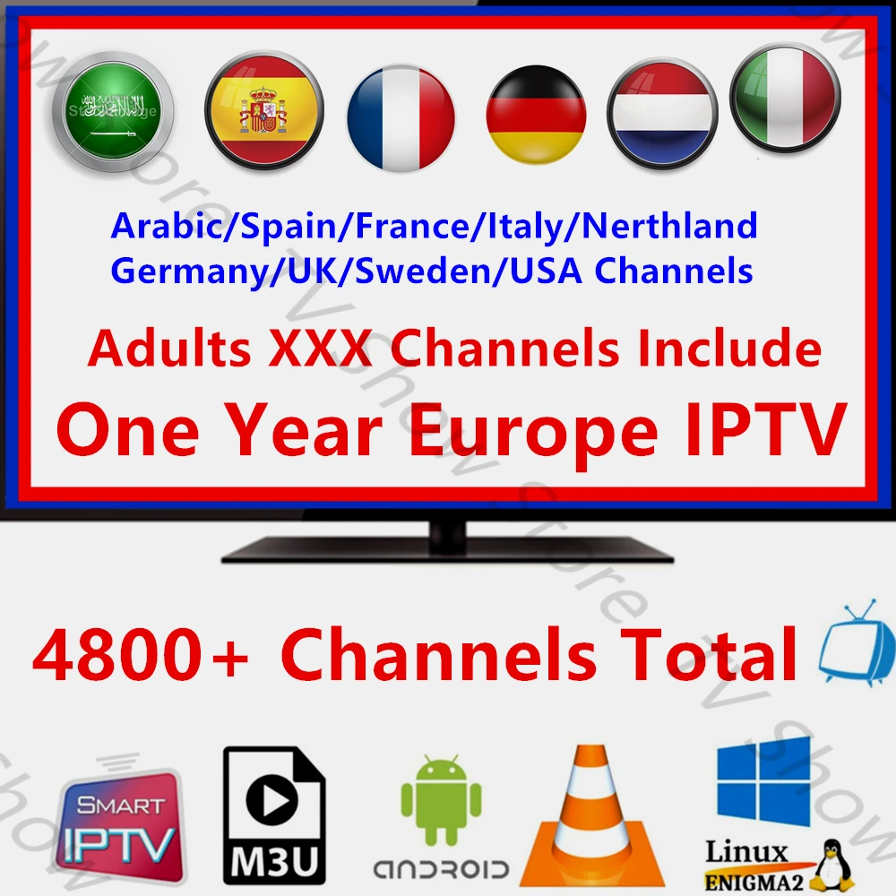 

1 Year IPTV Subscription Spain Germany Italy Arabic Dutch Poland Nordic HD IPTV Support Android M3U Smart TV Series VOD