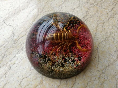 Искусственный Янтарный чучело насекомое образец паук сороконожка Скорпион летучая мышь креативный подарок домашний стол - Цвет: 10-1