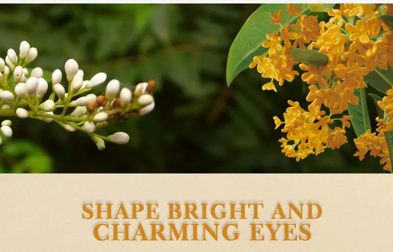 golden-osmanthus-eye-mask_07