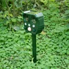 Garden Supplies