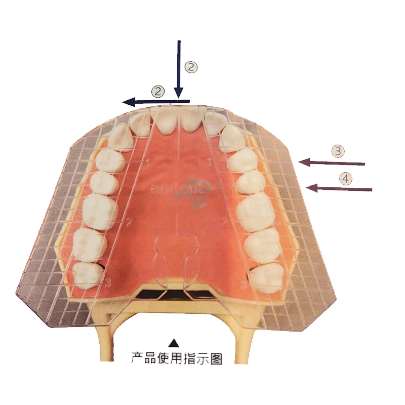 Стоматологическая лаборатория Стоматологическая Пластиковая направляющая пластина расположение зубов на протез акриловая работа 1 шт