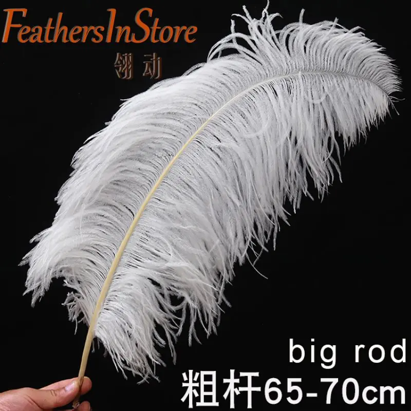 

10Pcs All Size 15-75CM 6-30inch White Ostrich Feathers For Crafts Carnival Party Halloween Wedding Decorations Jewelry plumes