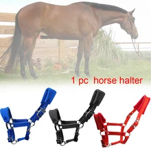 Снаряжение для верховой езды съемный уплотненный несколько размеров флисовый Мягкий Спортивный регулируемый ремень двухслойный Холтер для лошади