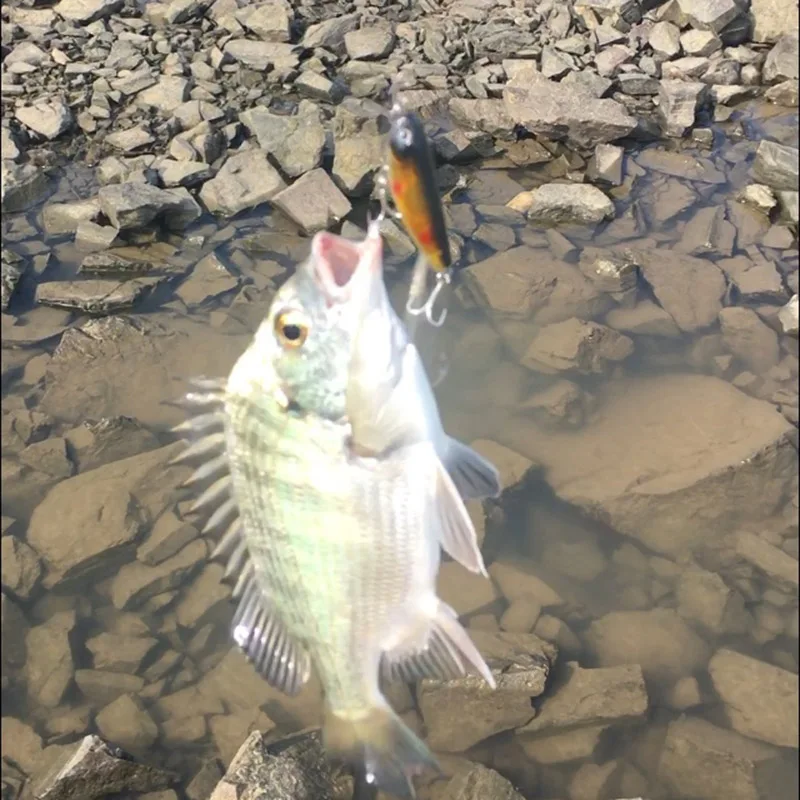 O1CN01EkJnzM1GaFFFRI2Kt_!!0-rate