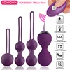 5pcs/set Vaginal Balls Sex Toy For Women Kegel Ball Female Vagina Tighten Massage Exercise Wireless Remote Control Vibrating Egg 1
