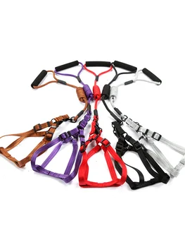 

Personalized Medium Small Dog Harness Running Personalized Puppy Dog Leashes Chihuahua Pug Beagle Harness Pet Supplies II50GQY