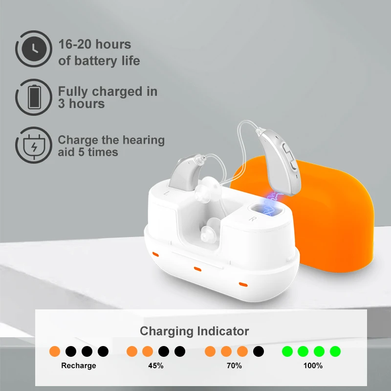 Rechargeable Hearing Aids Low Noise Sound Amplifier High Quality High