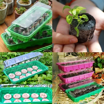 

Plastic Seedling Box Seed Planting Special Seedling Tray 10 Hole Nursery Pot Household High Germination Rate Garden Flower Pot