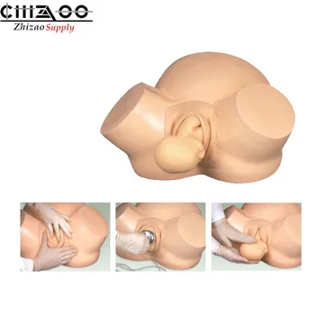 

Midwifery Training Simulator Medical Training Model