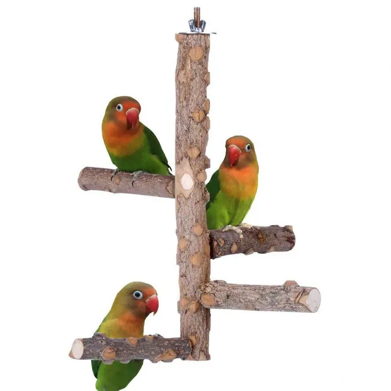 Small Medium Parrots Bird Perch Wood Stand Chew Bite Toy Birds Swing Bell Activity Support Holder Y5GB