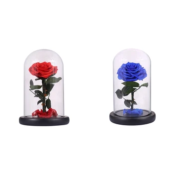 

2pcs Glass Cover Fresh Preserved Rose Flower Barbed Rose Flores for Wedding Marriage Home Decoration - Red & Blue