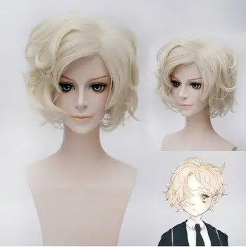 

(Alice-Wig 030) Heat Resistant Fiber Hairpiece Synthetic Hair Wig Anime Touken Ranbu Online Cosplay Wig