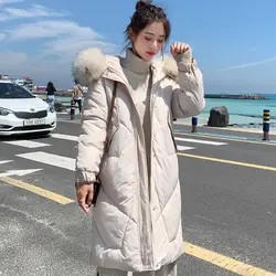 2019 теплая утолщенная женская зимняя куртка с капюшоном и мехом, Женская Повседневная Длинная парка, верхняя одежда, корейский стиль