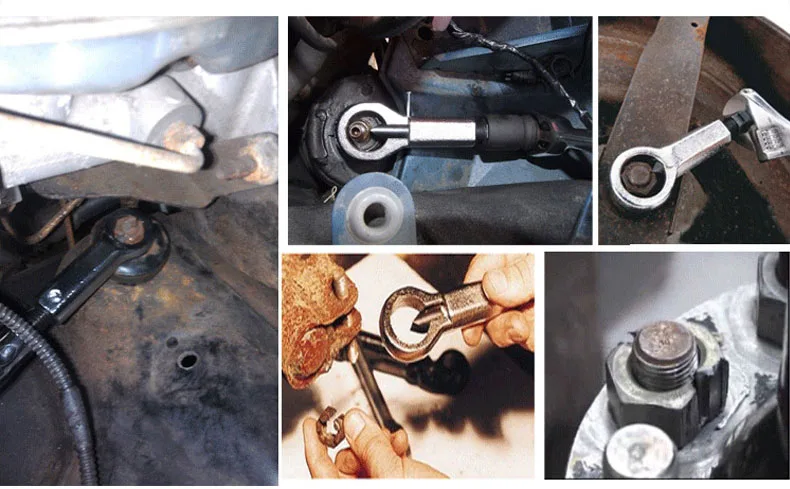 4454487798_1061668573