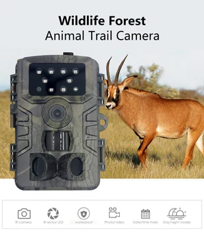 

Hunting Trail Camera Wildlife Camera With Night Vision Motion Activated camera Trigger Wildlife Scouting waterproof
