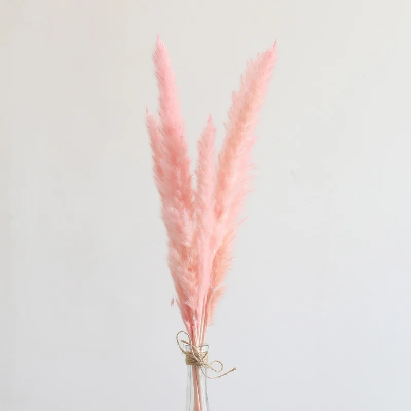 

7pcs Pampas Grass Natural Dry Flower Home Fire Imported Reed Pink Rabbit Tail Grass Hanfeng Bouquet Living Room Coffee Shop