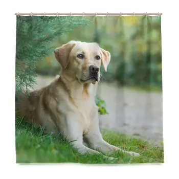 

Labrador Retriever Dog Lying Under Tree Home Bathroom Set Polyester Fabric Shower Curtain Home Art Decoration with Hooks