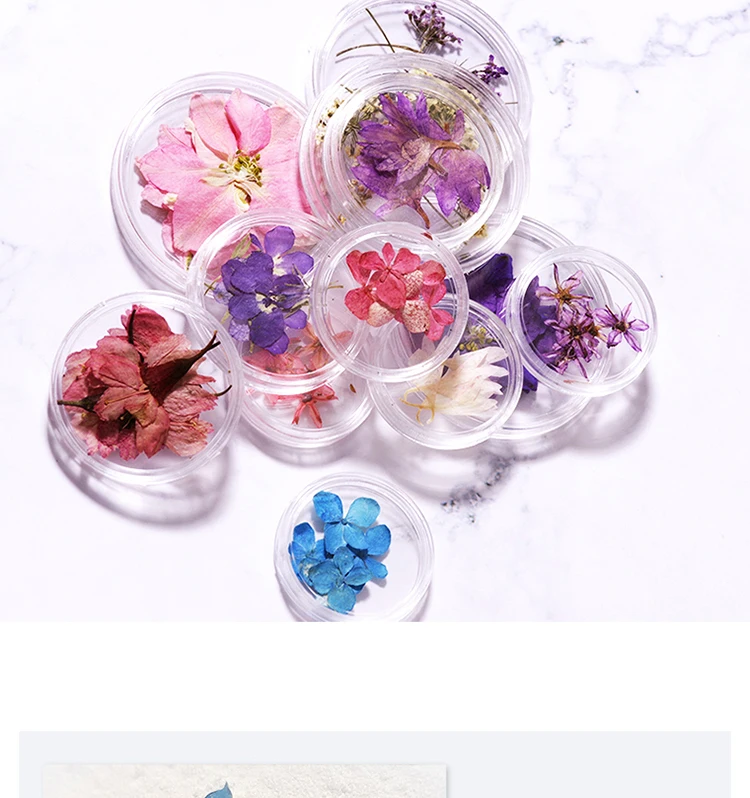Сушеные цветы в японском стиле, материалы для дизайна ногтей, Вечные цветы, чистые натуральные сетки, декоративные цветы