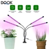 LED Grow Light USB Phyto Lamp Full Spectrum Fitolamp With Control Phytolamp For Plants Seedlings Flower Home Tent 1