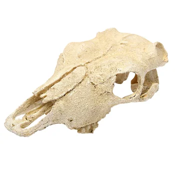 

False Sheep Skull Craft Aquarium Artificial Resin Decor Fish Tank Landscape Ornament (Beige)