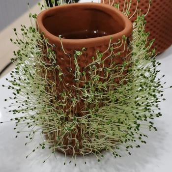 

Small Mini Terracotta Flowerpot Slime Soil Ceramic Planter Cactus Flower Nursery Pots For Plants Crafts Wedding Favor