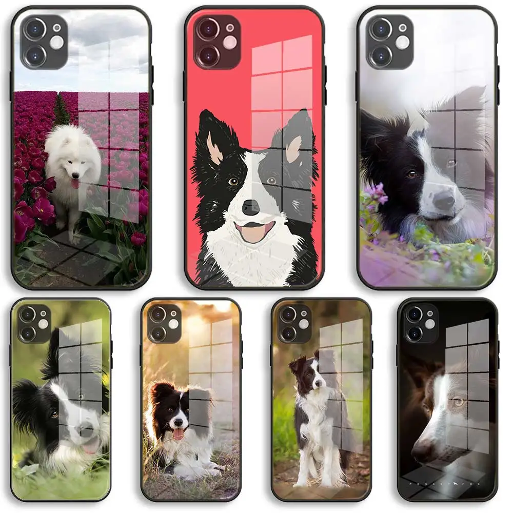 Стеклянный Мягкий силиконовый чехол Border Collie Dog Для iPhone 12 11 Pro X XS Max XR 8 7 6 Plus SE 2020 S Mini