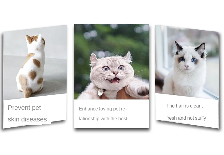 H504aebce01e7454aad1a0ef5455d4164q