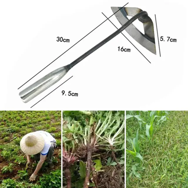 Vastagabb Acél Üreges Kapa Kézi Gyomnövény Gereblye Ültetés Zöldség Farmkert Szerszámok Gyomláló Kiegészítők Mezőgazdasági Szerszám - Image 6