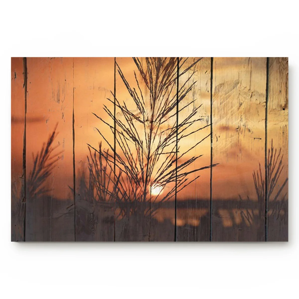 Wooden Sunset Plant Silhouette Kitchen Floor Bath Entrance Rug Mat Absorbent Indoor Bathroom Decor Doormats | Дом и сад