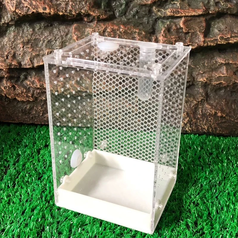 Ant Farm Insect Breeding Box Acrylic Bug Container Ant Formicarium