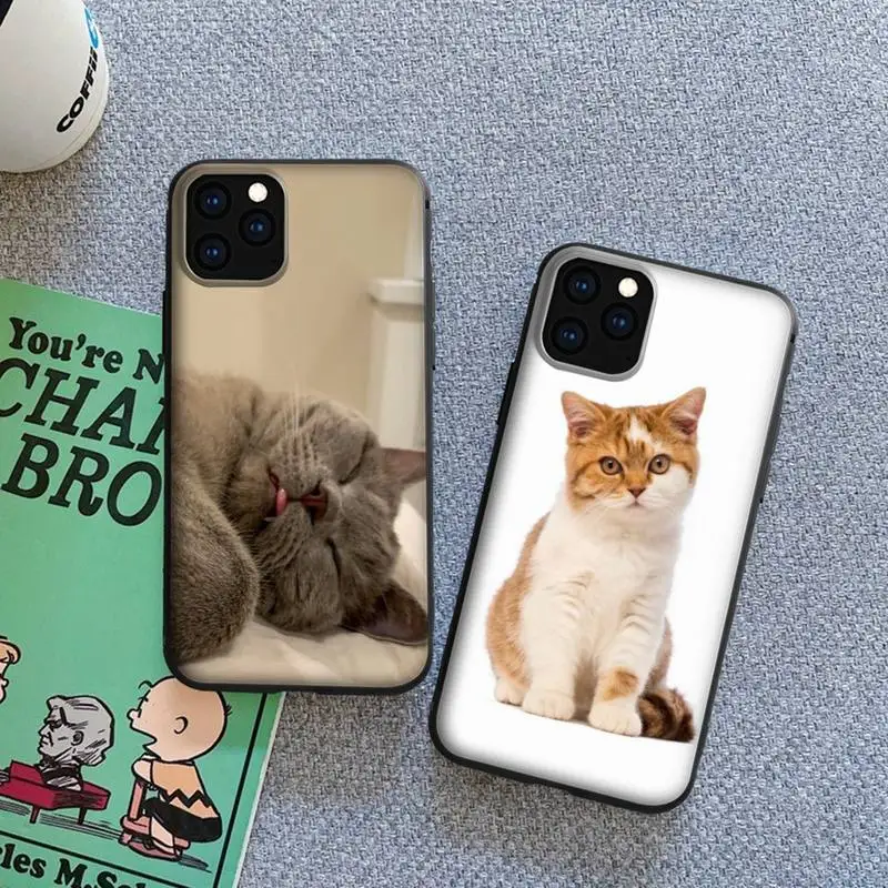 Чехол с изображением кота для iPhone 12 11 Pro mini XS MAX 8 7 6 6s Plus X 2020 XR 13 pro max | Мобильные