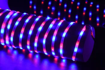 

LED Strip 5050 2835 RGB strip Luces LED Lights 5M 10M светодиодные ленты15M 20M 12V LED Light Strip home decor LED strip light