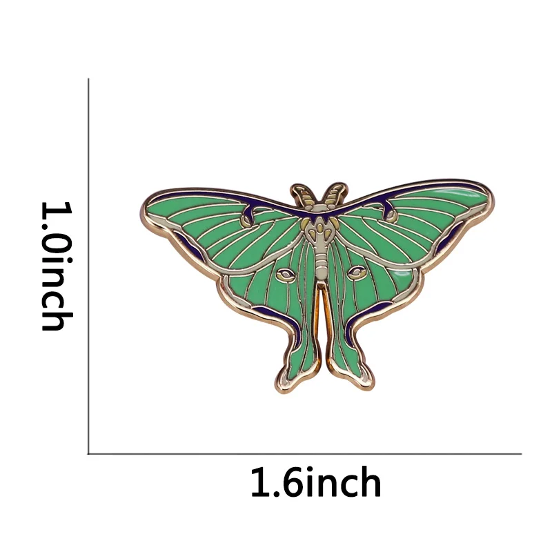 p15.jpg