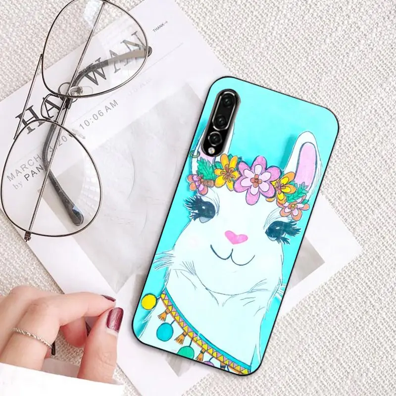 Cartoon Lama Llama Alpacas Animal