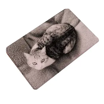

1pc 40X60cm Cute Cat Pattern Floor Mat Anti-Slip Suede Carpet Doormat indoor Kitchen Bathroom Living Room Door Mat Rug