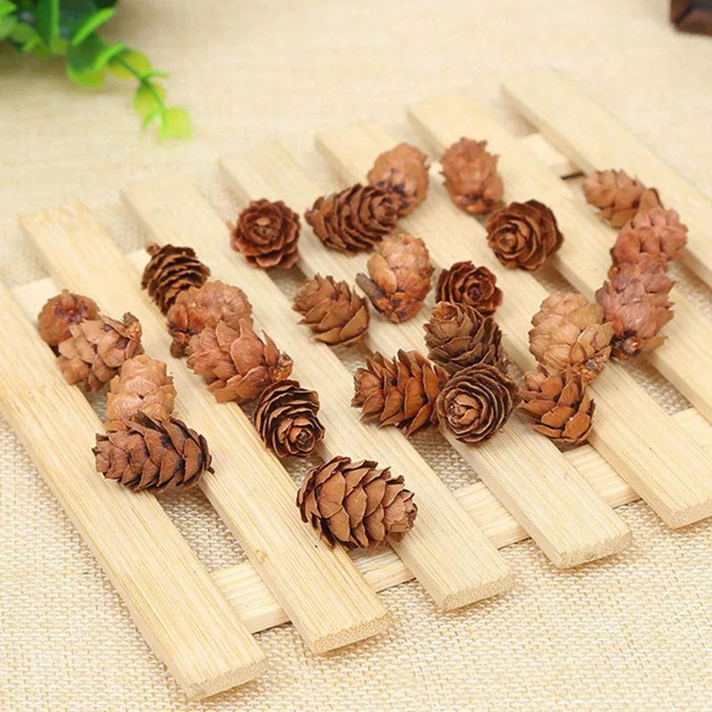10 шт. мини Pinecone сосновые шишки Pinecone для рождественской елки топперы ваза чаша наполнитель отображает декоративные ремесла домашний декор